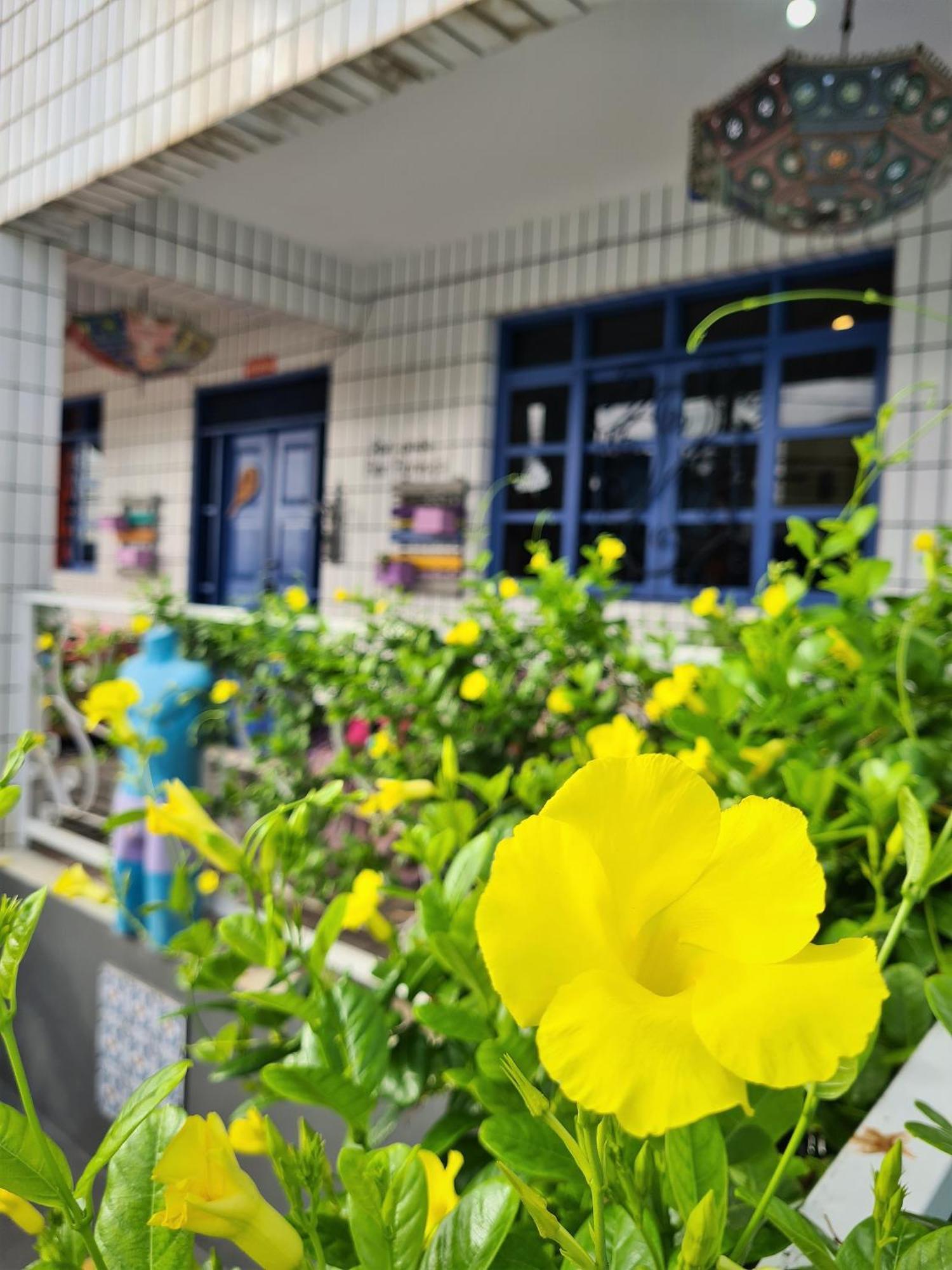 Soul Hostel Natal Dış mekan fotoğraf